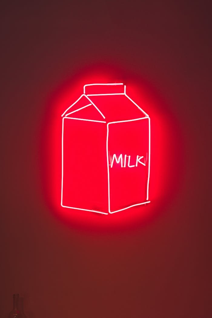 Illuminated Neon Light Signage